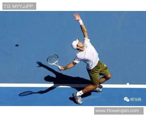 从零起步掌握网球技巧全方位指南助你成为网球高手